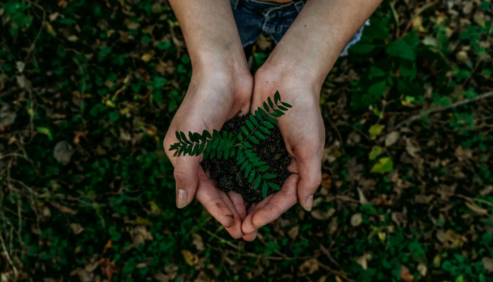 Why eSignature Technology Should Be Part of Your ESG Strategy